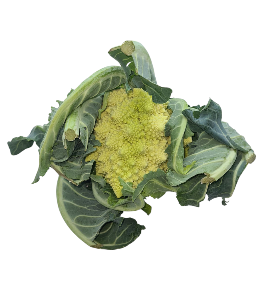 Romanesco Bio