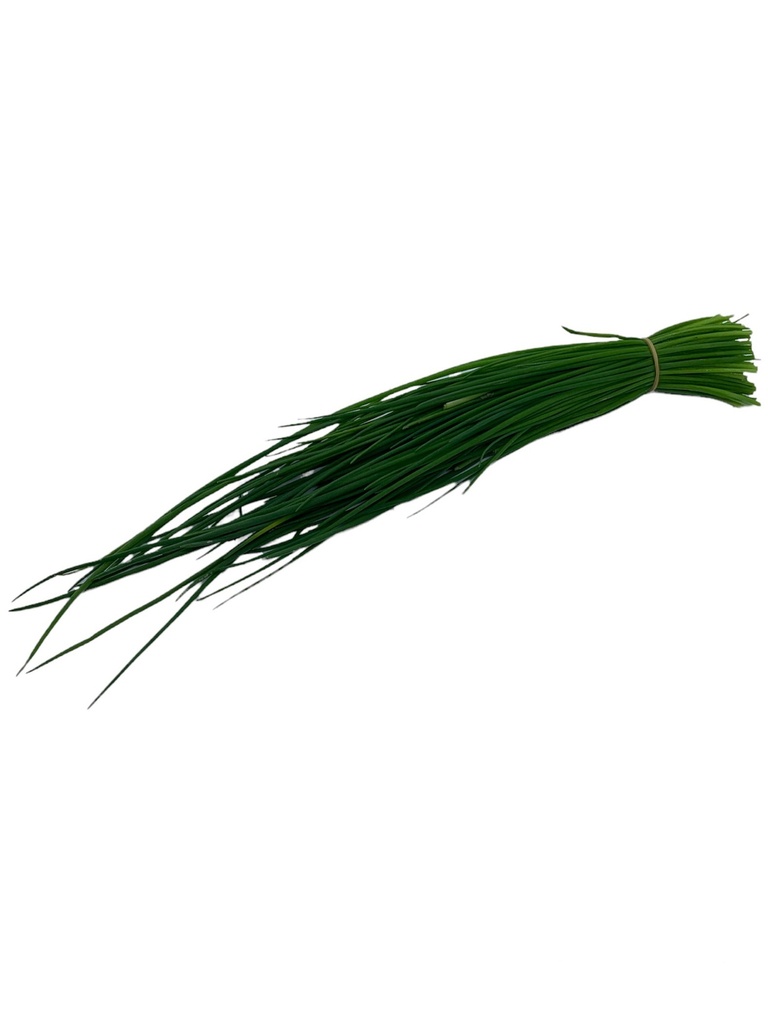 Schnittlauch Bio Bund 