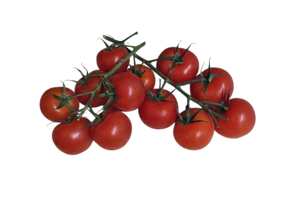 Cocktail-Strauchtomaten Bio
