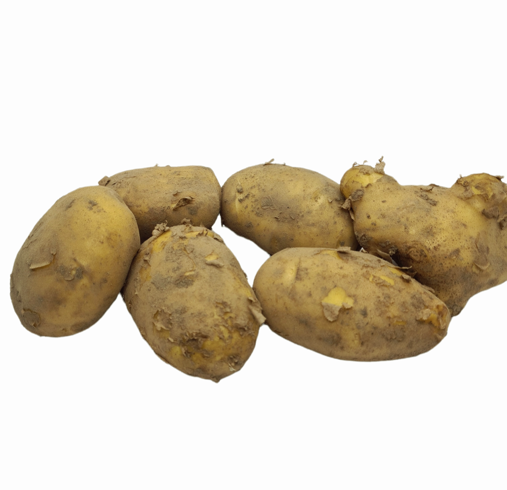 Frühkartoffeln Bio