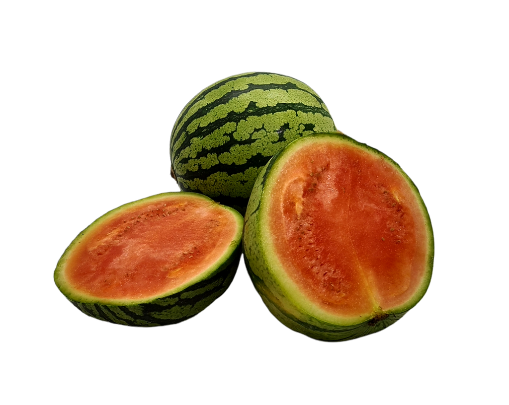 Mini Wassermelone Stk. Bio