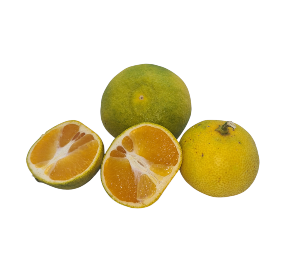 Satsumas Bio