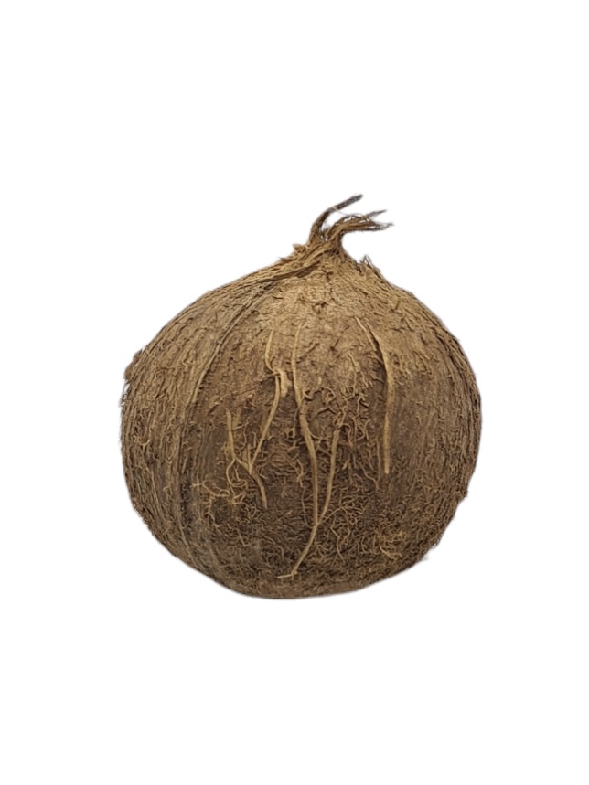 Kokosnuss Bio 