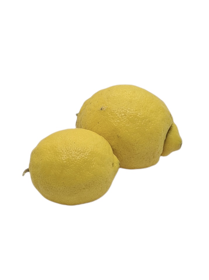 Zitronen Bio kg