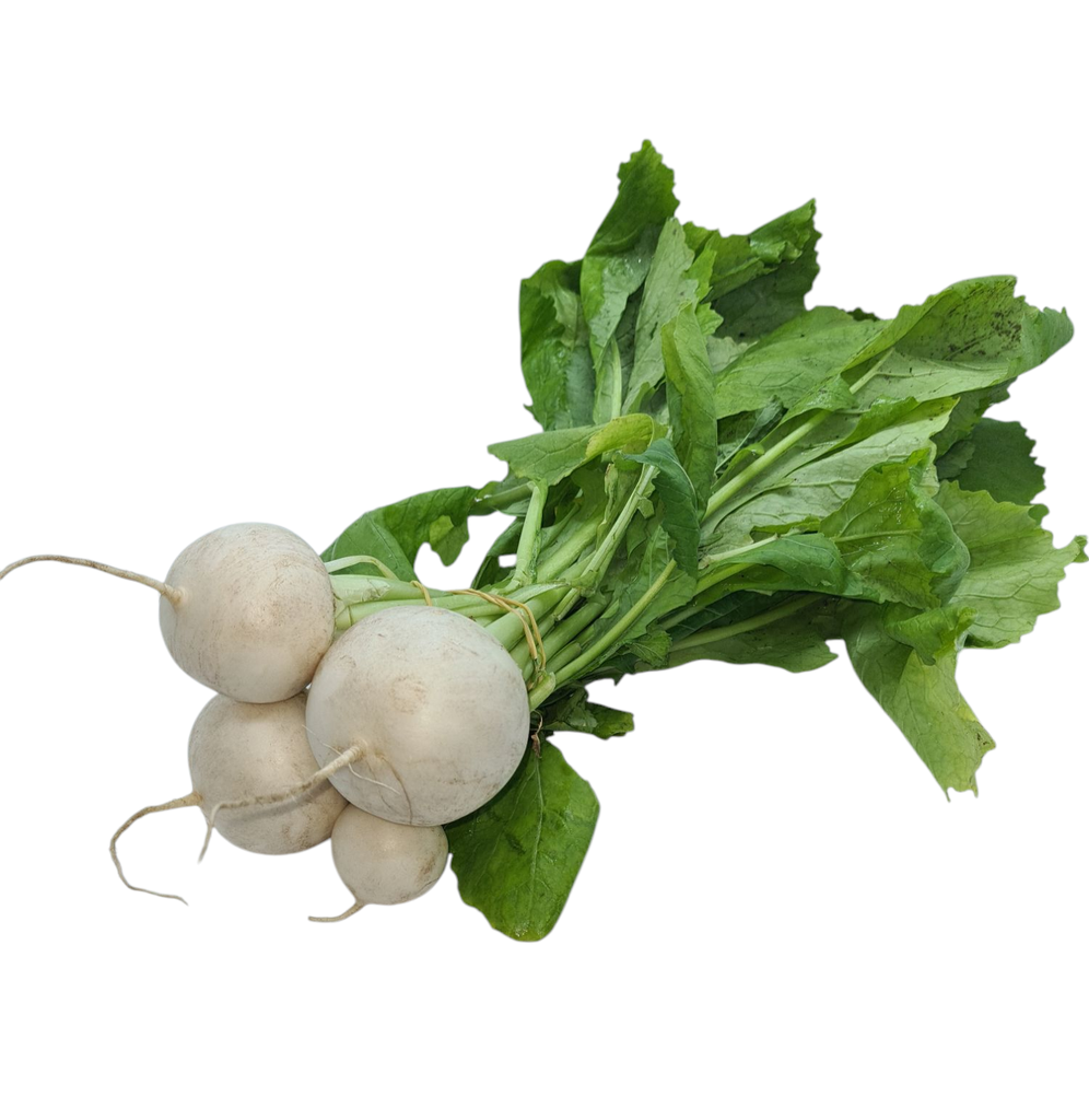 Mairübchen weiß Bio Bund