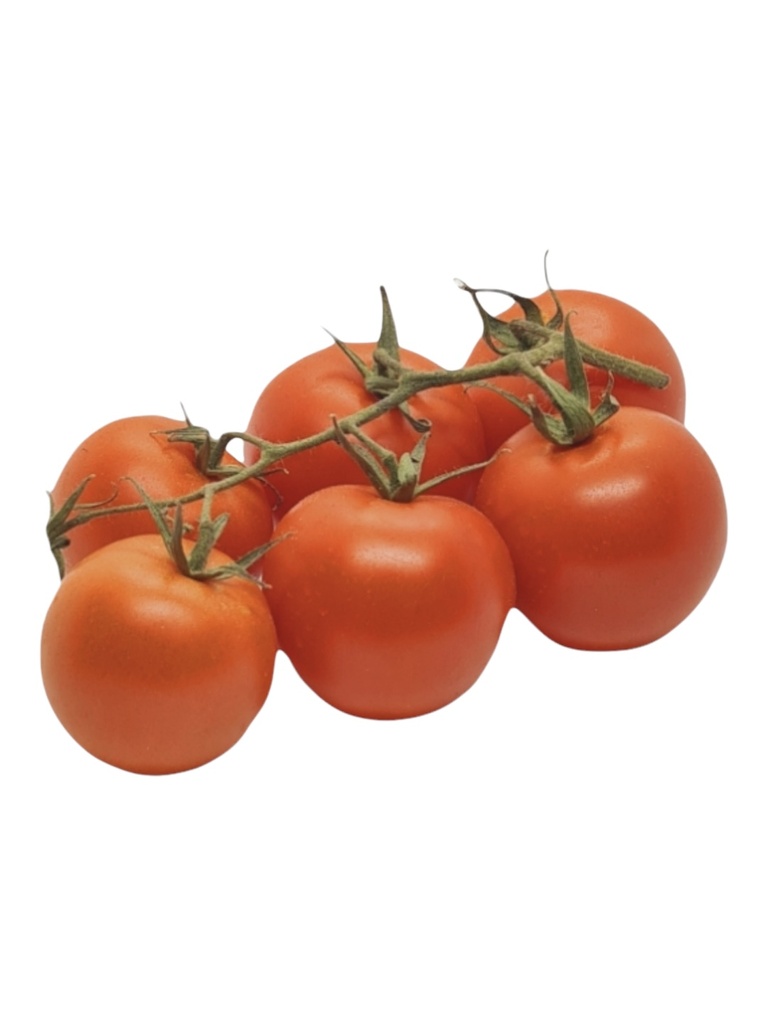 Tomaten Bio