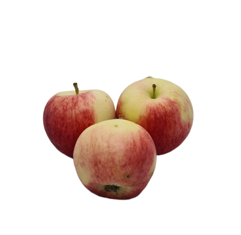 Apfel Piros Bio