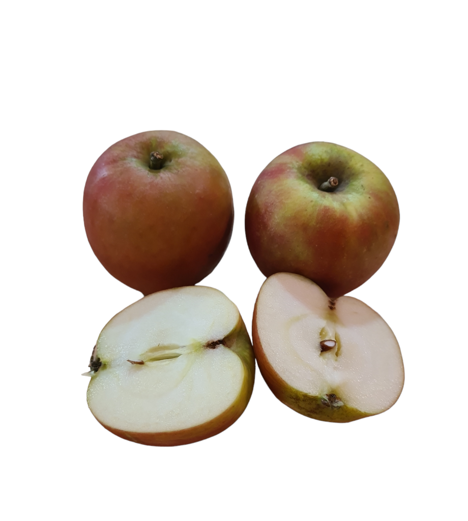 Apfel Holsteiner Cox Bio  