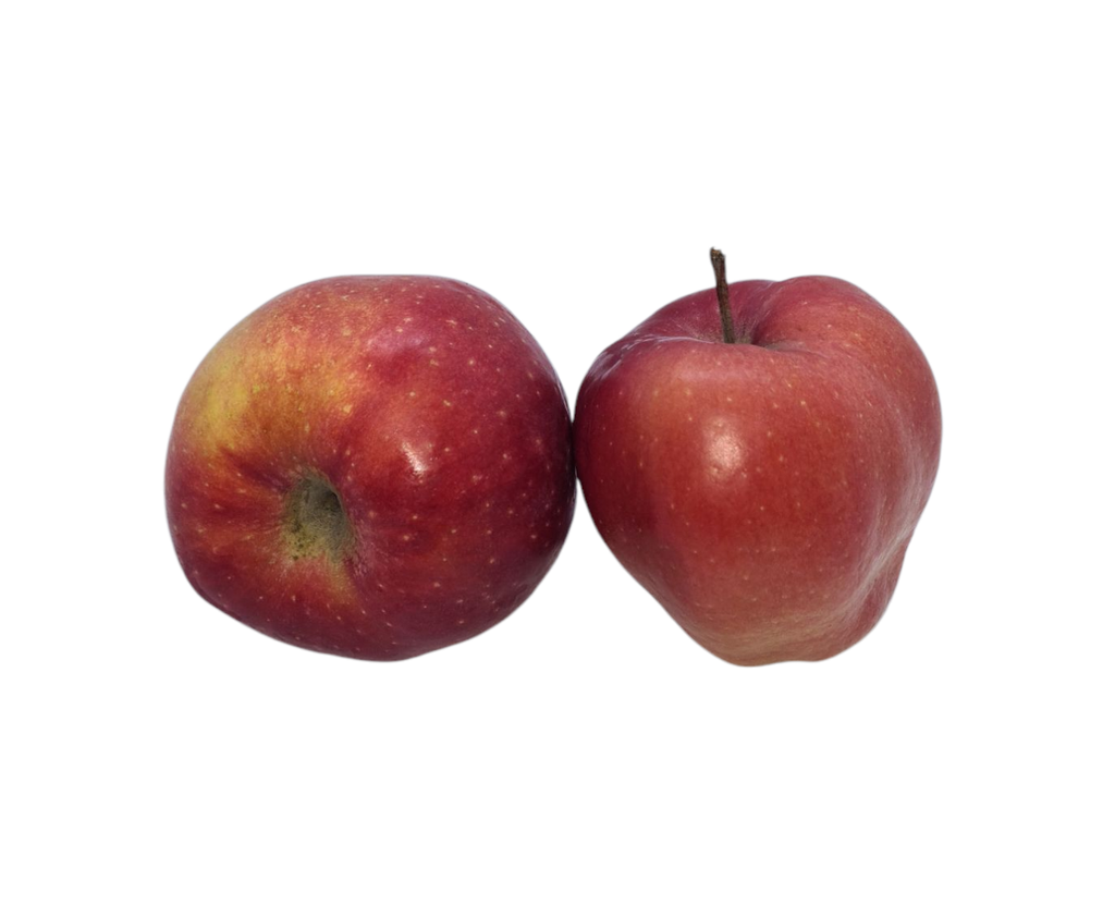Apfel Gloster Bio  