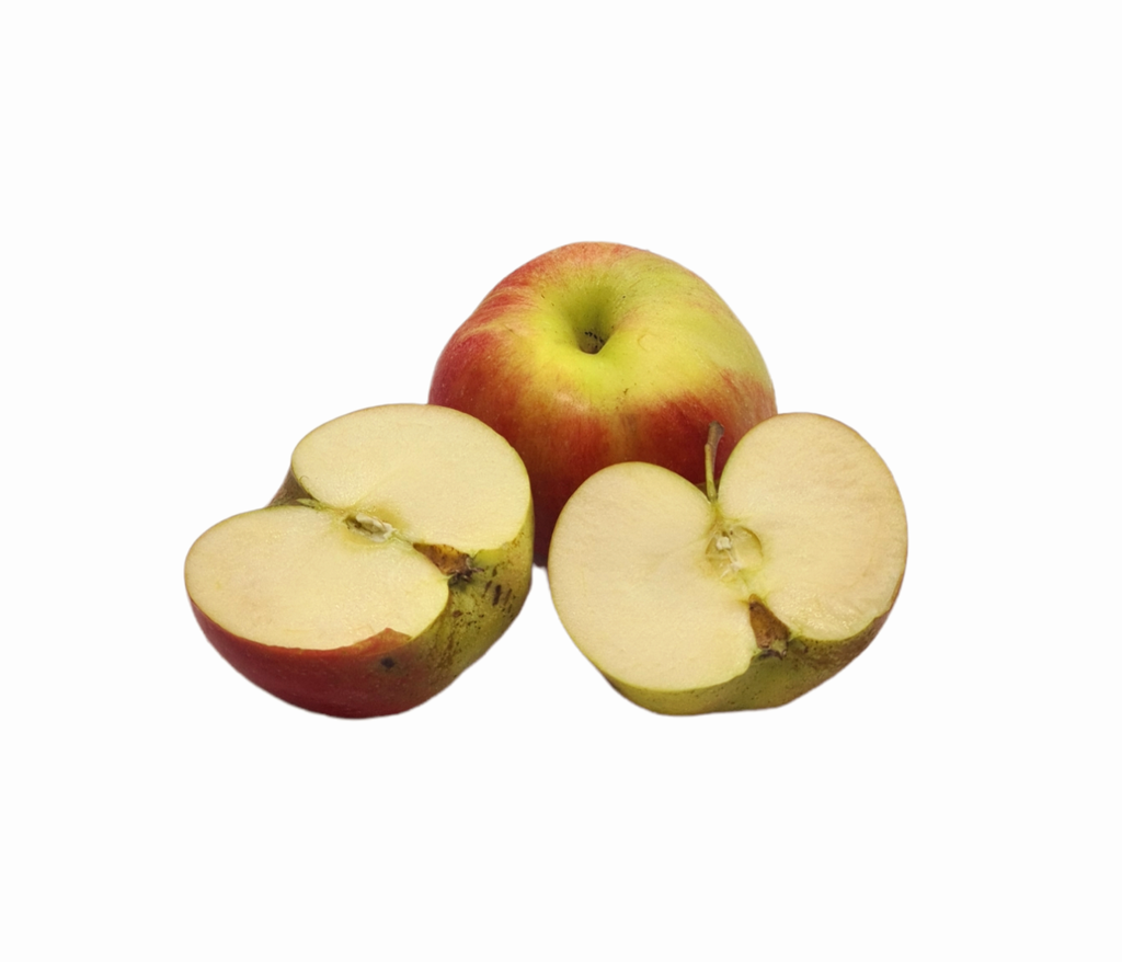 Apfel Idared Bio   