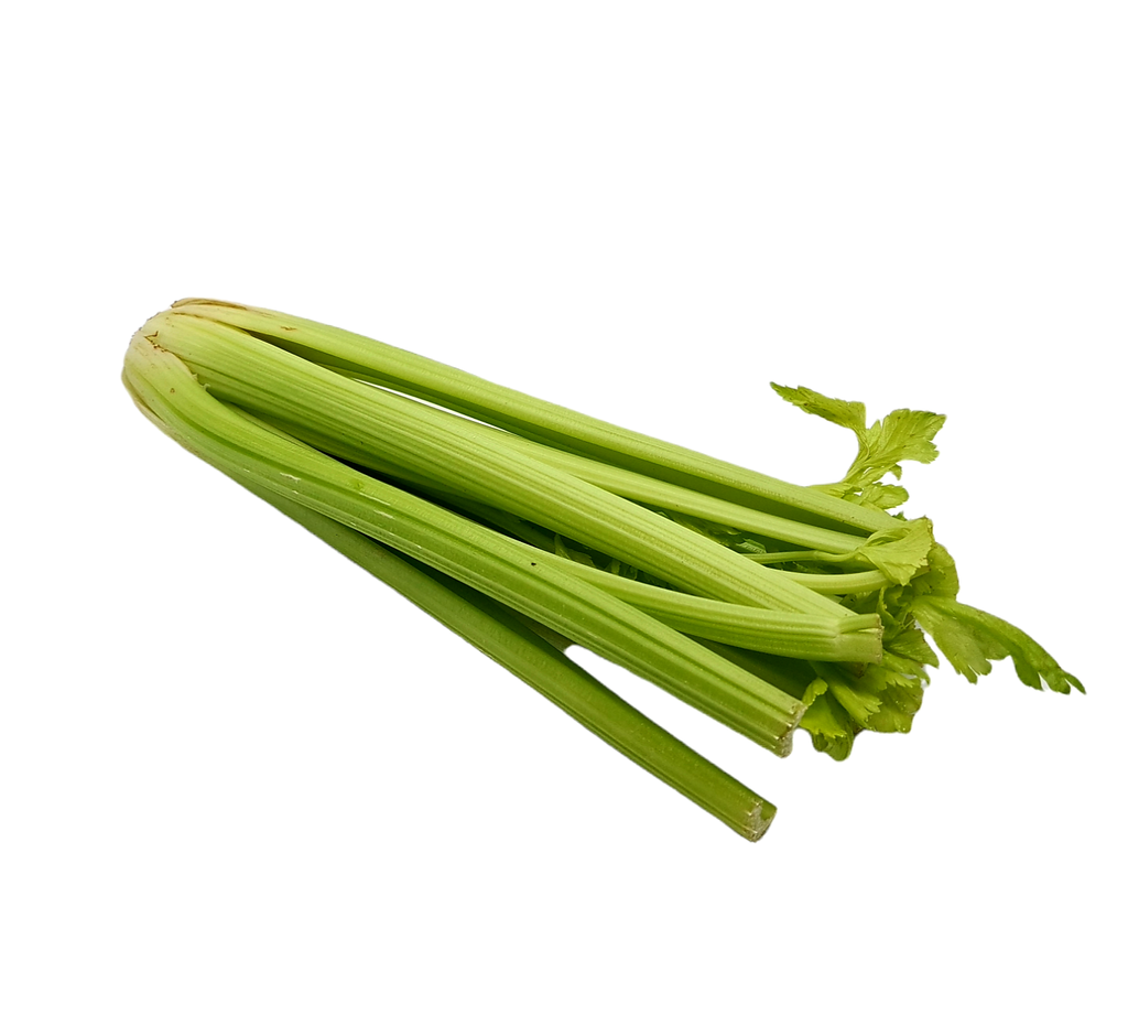 Staudensellerie Bio Stck.