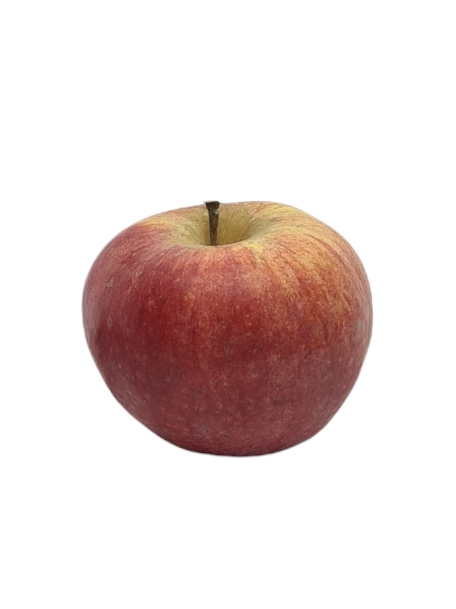 Apfel Gala Bio 