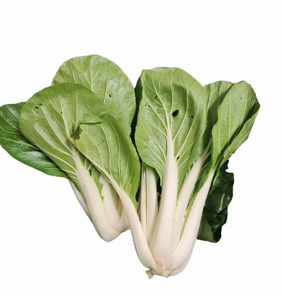 Pak Choi Bio  Stck.