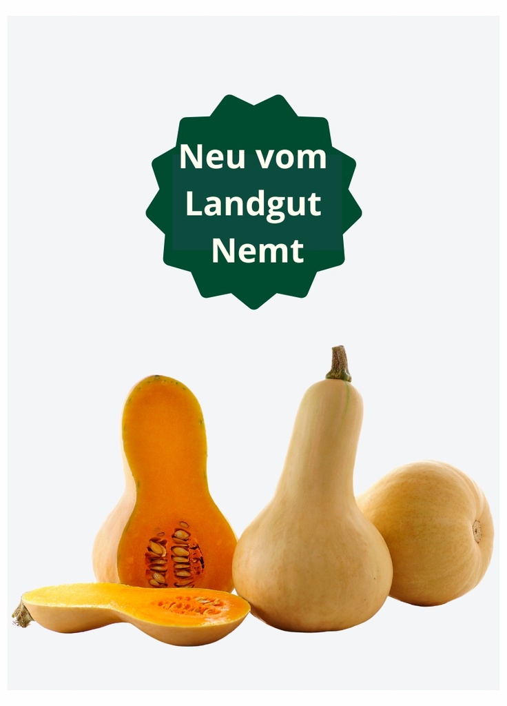 Nemter Bio-Butternutkürbis in Stk.