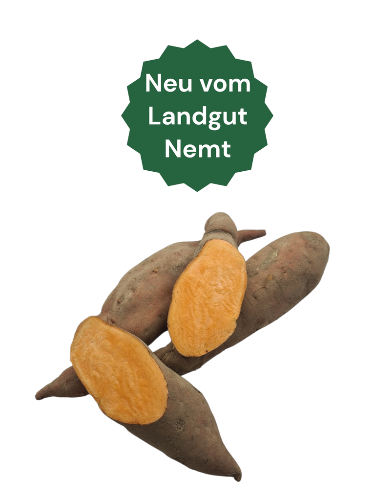 Nemter Süßkartoffeln Bio regional