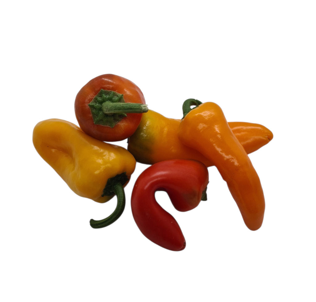 Minipaprika gelb/rot Bio
