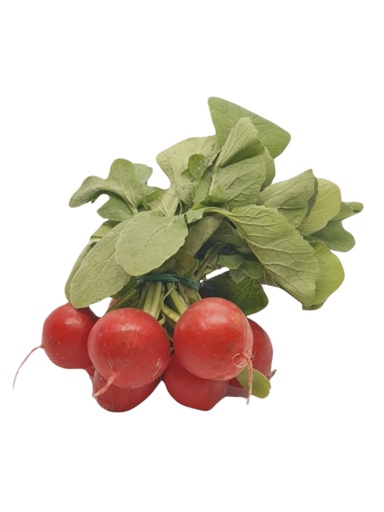 [302199] Radieschen Bio Bund