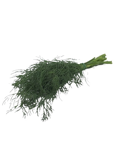 [302212] Dill Bio Bund 