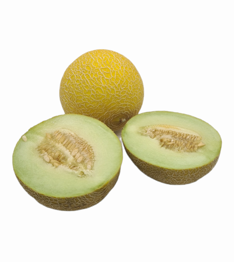 [302291] Melone Galia Bio Stk.