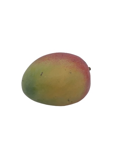 [302323] Mango Bio