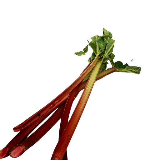 [302332] Rhabarber Bio 