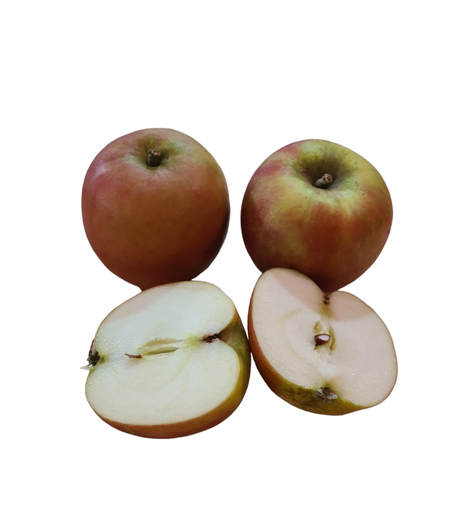 [302432] Apfel Holsteiner Cox Bio  