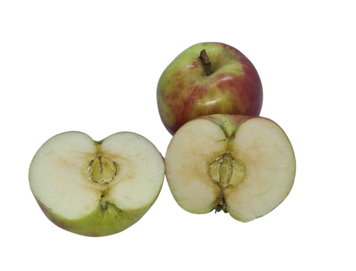 [302453] Apfel Gravensteiner Bio