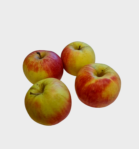 [302454] Apfel Shampion Bio 