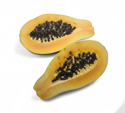 [302499] Papaya Stk. Bio