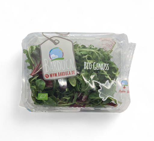 [302551] Mix-Salat Classic Bio 100g