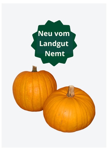 [302559] Nemter Halloween-Kürbis Stk.