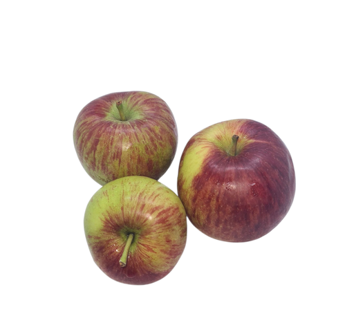 [302562] Apfel Hana Bio